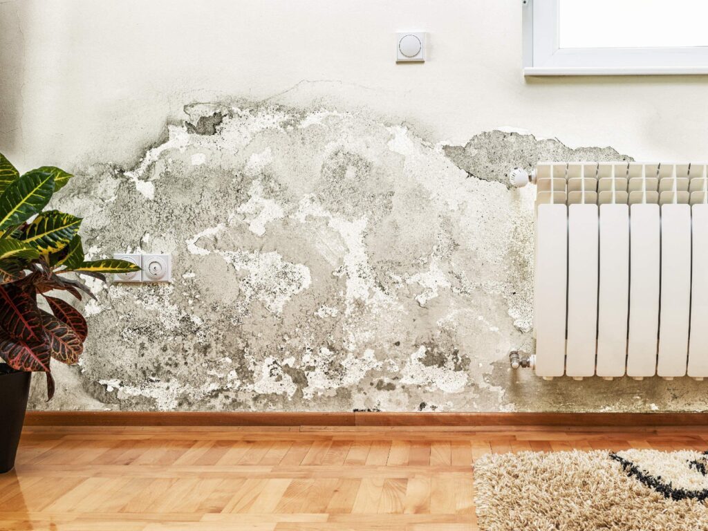 Mould growing on a wall beside a radiator in a room.