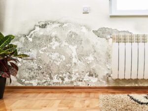 Mould growing on a wall beside a radiator in a room.